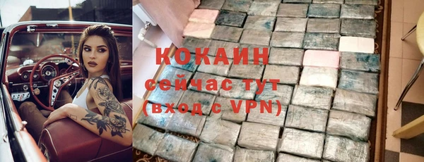 крисы Кущёвская