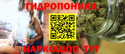 крисы Канаш