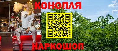 apvp Камышлов