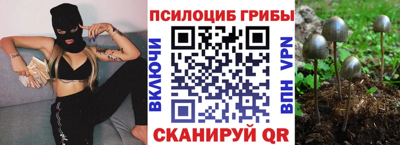 Псилоцибиновые грибы GOLDEN TEACHER  купить наркоту  Чебаркуль 