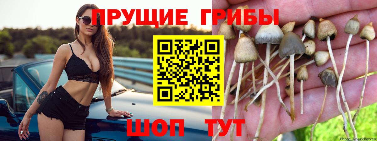 Чебаркуль  Псилоцибиновые грибы MAGIC MUSHROOMS  Вход с VPN  Галлюциногенные грибы мицелий 